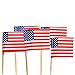 Lot Of 144 American Flag Patriotic Theme Food Toothpicks