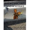 solitary, poor, nasty, brutish and short