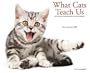 What Cats Teach Us Calendar: Life's Lessons Learned from Our Feline Friends