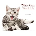 What Cats Teach Us 2010 Calendar: Life's Lessons Learned from Our Feline Friends by Willow Creek Press