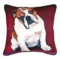 Manual Woodworkers & Weavers Bulldog Baby Paws and Whiskers Decorative Square Pillow, 18-Inch