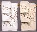 Fine Quality Gift Idea - 7pc. Cherry Blossom Trousseau Luxury Cotton Bath Towel Set - WHT or IVR