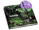 GardenWalk Buffalo