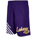 Los Angeles Lakers Purple adidas Originals 90's Script Mesh Shorts