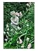 Statue (Woman), Lathyrus Latifolius in Cottage Garden, Surrey Photographic Poster Pri...