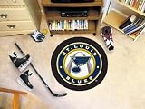 Fan Mats 10594 St Louis Blues Puck Mat