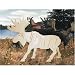 Moose 3D Woodcraft Construction Kit