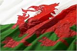 Hand Sewn 3 Yard Welsh Dragon Flag