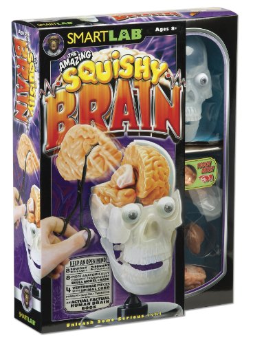 51zM2Q4FcNL Smart Lab The Amazing Squishy Brain
