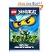 LEGO Ninjago "Gift f�r die Giftnattern"