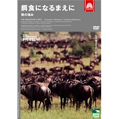 アニマルプラネット 餌食になるまえに 数の強み