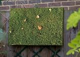 Grass Outdoor Artwork