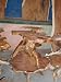 TEAK ROOT COFFE TABLE - SIDE TABLE - ISLAND ART
