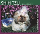 Shih Tzu - 2008 Boxed Calendar