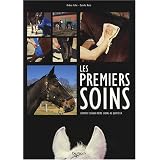 Les premiers soins : Comment soigner votre travail au quotidienpar Andrea Holst