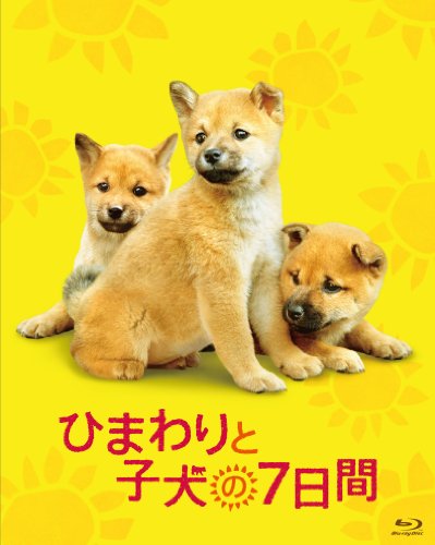 ひまわりと子犬の7日間[Blu-ray/ブルーレイ]