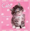 Official Rachael Hale Cats 2010 Calendar