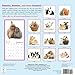 Love Bunnies 2015 Wall Calendar