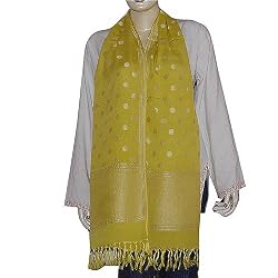 Womens Silk Scarf in Chiffon Fabric 22 x 72 inches (srfch035)