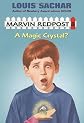 A Magic Crystal?