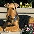 Airedale Terriers 2009 Square Wall Calendar