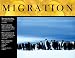 Migration Survival Skills in the Animal World Cheap Chart