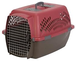 Petmate Pet Taxi Fashion Kennel, Large, Samba Red/Coffee Grounds