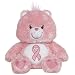 Care Bears Pink Power Bear