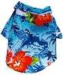 Present Time Hawaii...