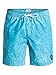 Quiksilver Men's Acid Print 17 Short