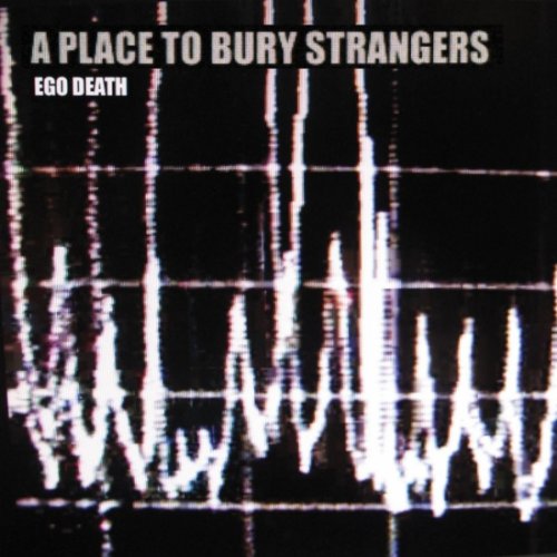 A Place To Bury Strangers Photo 3