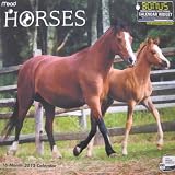 Horses