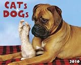 Cats & Dogs 2010 Wall Calendar 13 X 10.5