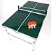 Earth Products Earth Mini Ping Pong Table (Green)