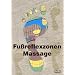 Fussreflexzonen Massage