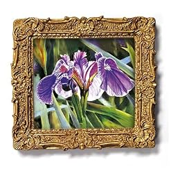 A Single Iris - Gold Frame Magnet with pop-out easel (2-3/4" x 2-1/2")