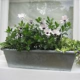 Review The Urban Garden  / galvanised balcony box for windows - 30cm L x 17cm H x 14cm W