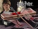 Harry Potter Neville Longbottom's Wand Replica