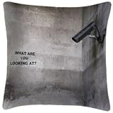 We Love Cushions Cctv Banksy Inspired Cushions