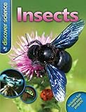 Insects