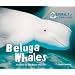 Beluga Whales (Animals of the Snow and Ice)