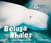 Beluga Whales (Animals of the Snow and Ice)