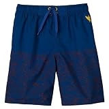 Boys' Mossimo Supply Co. Sharkwater Swim Short - Boy Blue