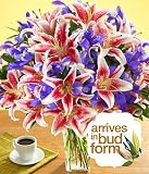 Deluxe Joyful Bouquet by Proflowers Best Buy