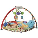 Fisher-Price Luv U Zoo Deluxe Musical Mobile Gym