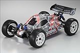 1:8 Lite GP 4WD DBX 2.0 Typ 2 (rot)