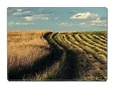 Luxlady Placemat Kitchen Table 15.8 x 12 x 0.2 inches Rhythmic series of cut grass to the horizon near the not yet mown hay IMAGE 35363855 Customized Art Home Kitchen