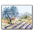 Lavender Field - Gift Enclosure Cards (set of 12)