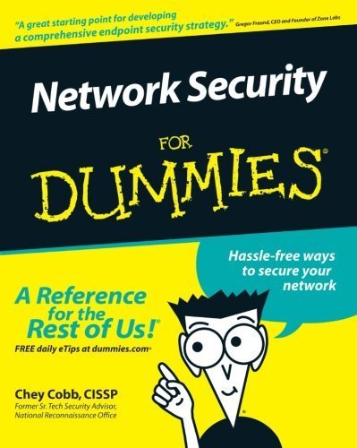Network Security For Dummies by Cobb, Chey (2002) Paperback