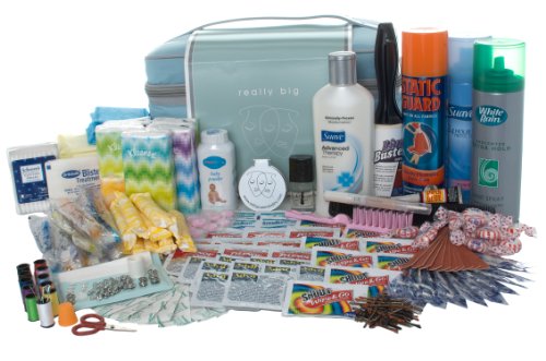 With You in Mind, inc. - Wedding Day Emergency Kit (10+ women)